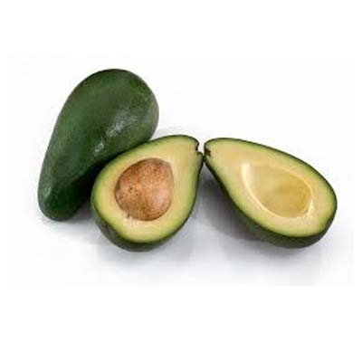 BUAH ALPUKAT