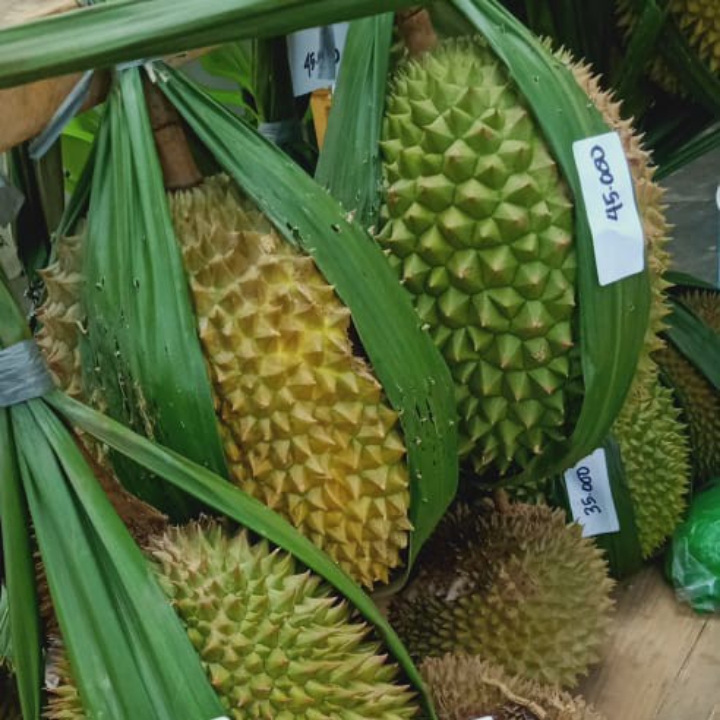 BUAH DURIAN MENTEGA JUMBO PER BUTIR