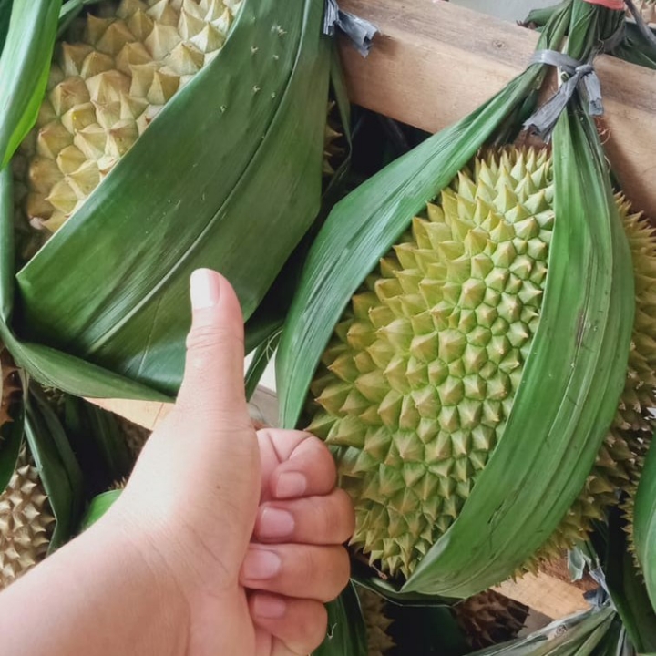 BUAH DURIAN SUPER JUMBO SPESIAL