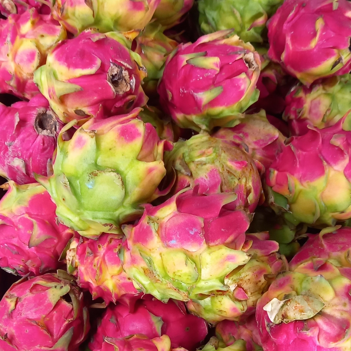 BUAH NAGA