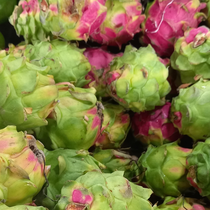 BUAH NAGA 2