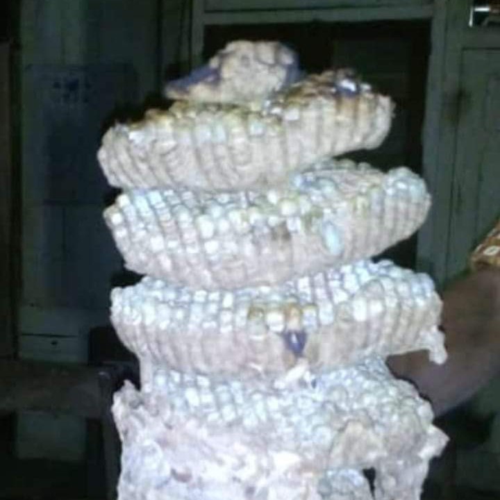 BUANG SARANG TAWON