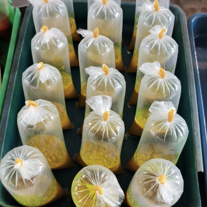 BUMBU KARI