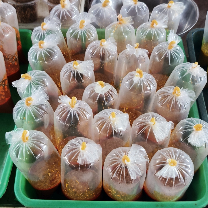 BUMBU RENDANG
