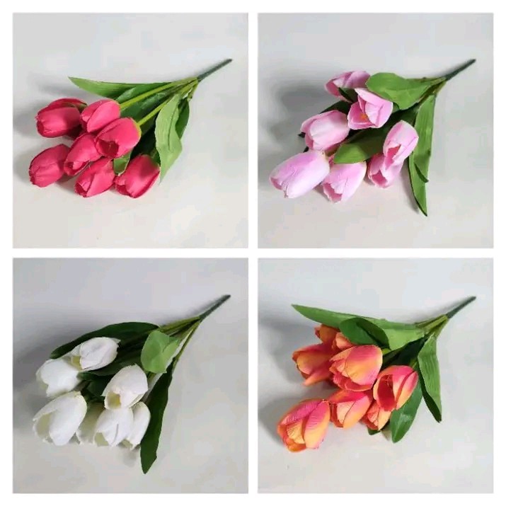 BUNGA TULIP MINI