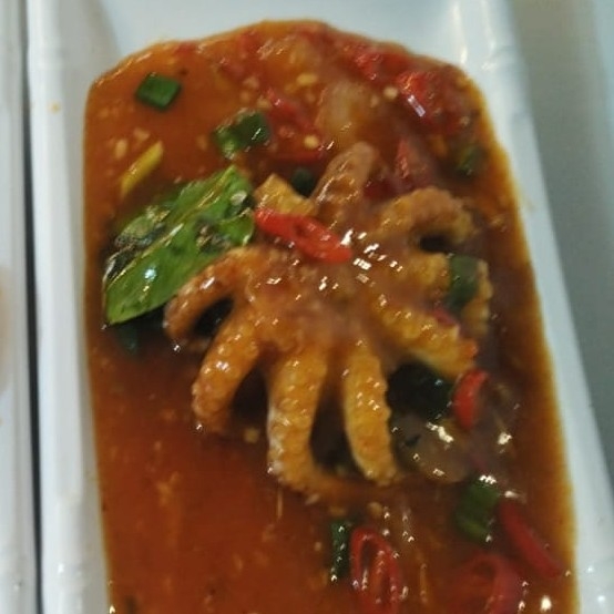 Baby Gurita