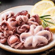 Baby Octopus