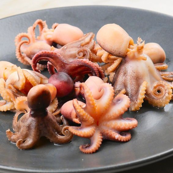 Baby Octopus