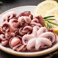Baby Octupus