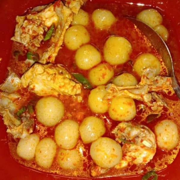 Bacil Tulang