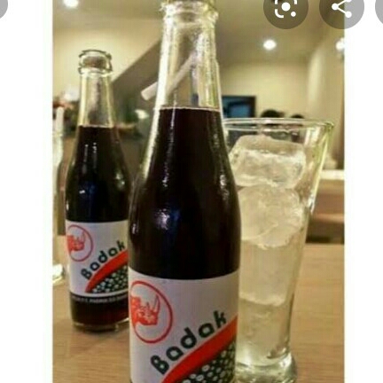 Badak Dingin