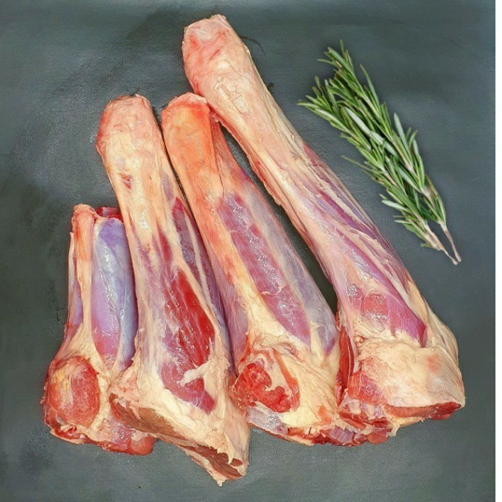 Bagian Bawah Kaki Belakang Shank