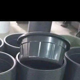 Bak Hitam