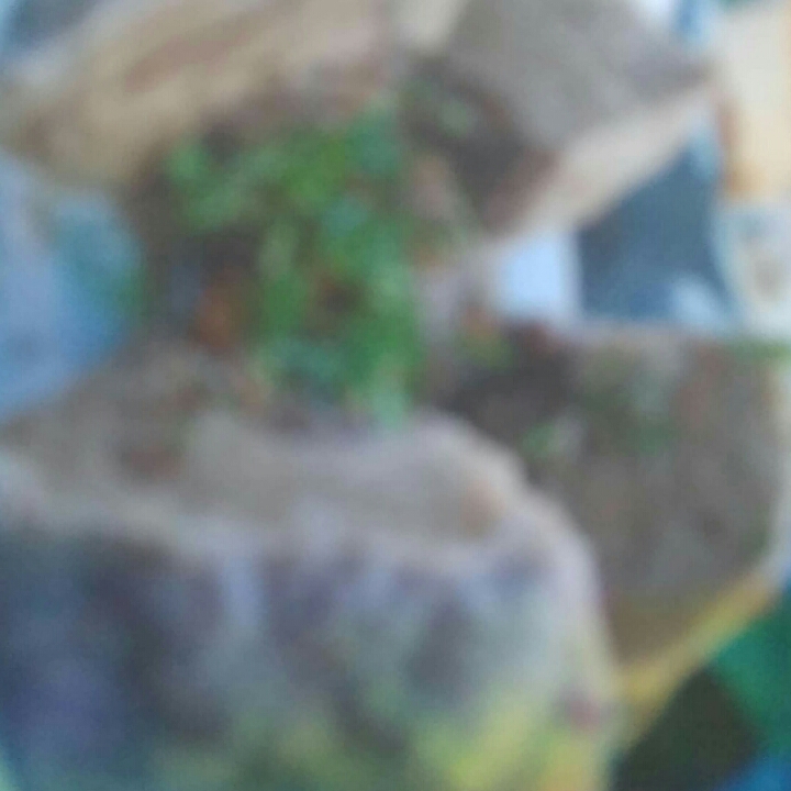 Bakso Super Kosong