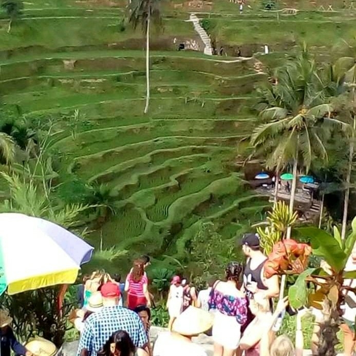 Bali Ubud and Tanah Lot Tour