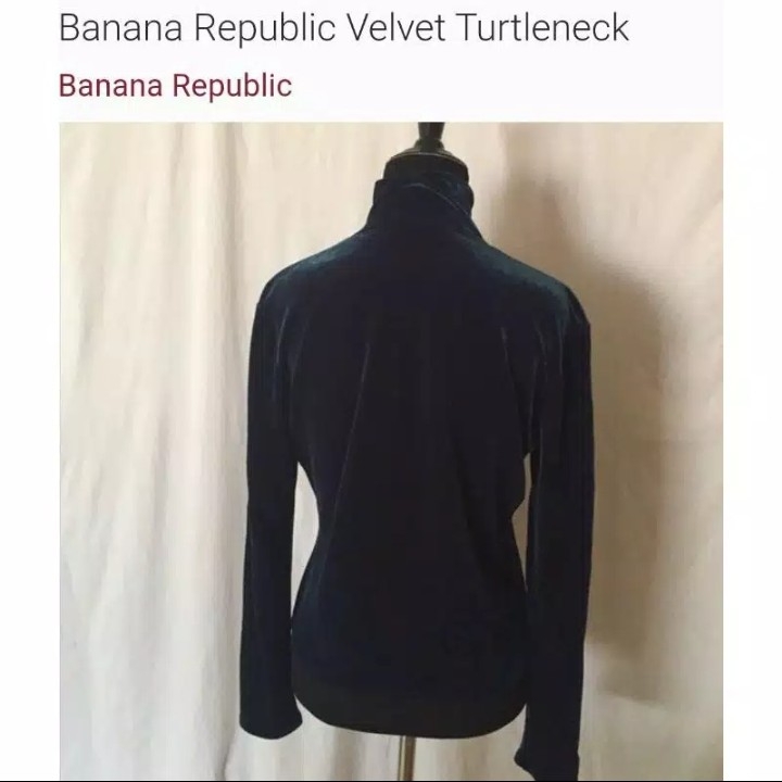 Banana Republic Velvet Turtleneck