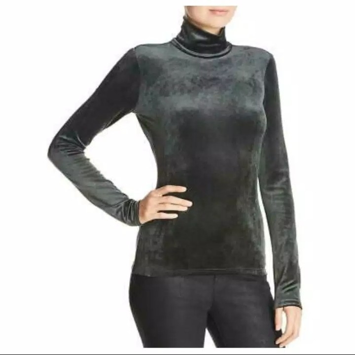 Banana Republic Velvet Turtleneck 2
