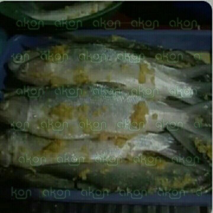 Bandeng Presto Mentah