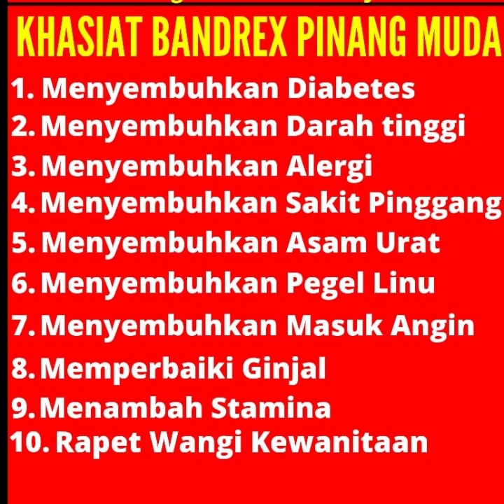 Bandrex pinang Muda 2