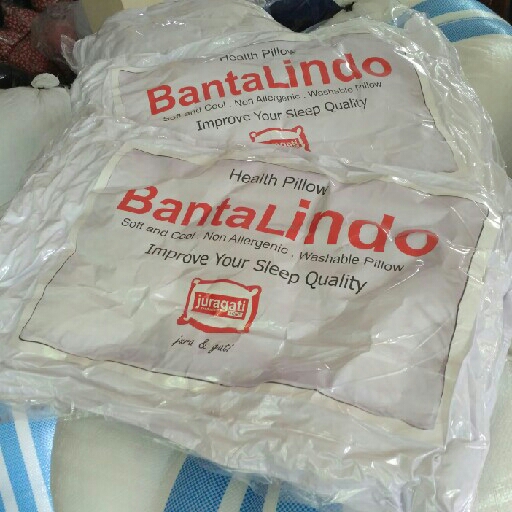 Bantal Hotel Nano Pillow