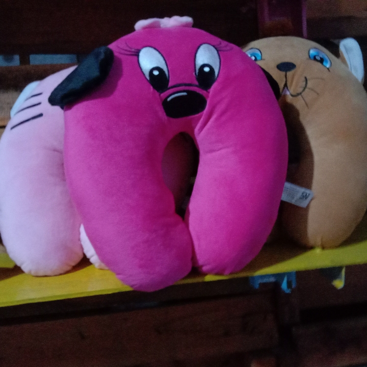 Bantal Leher