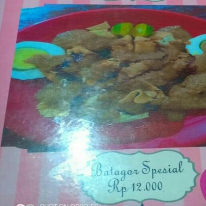 Batagor Spesial