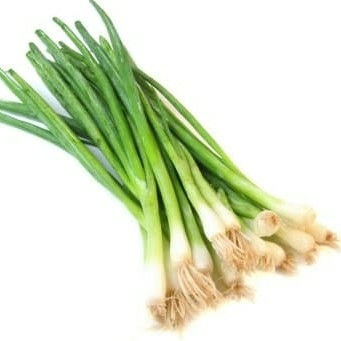 Batang Bawang
