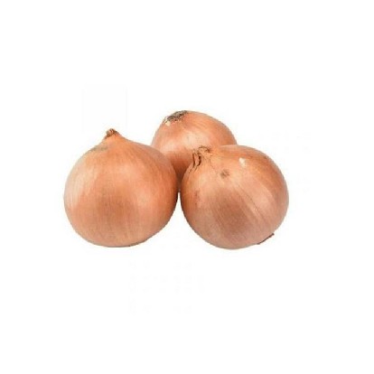 Bawang Bombai