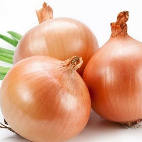 Bawang Bombai