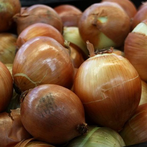 Bawang Bombai