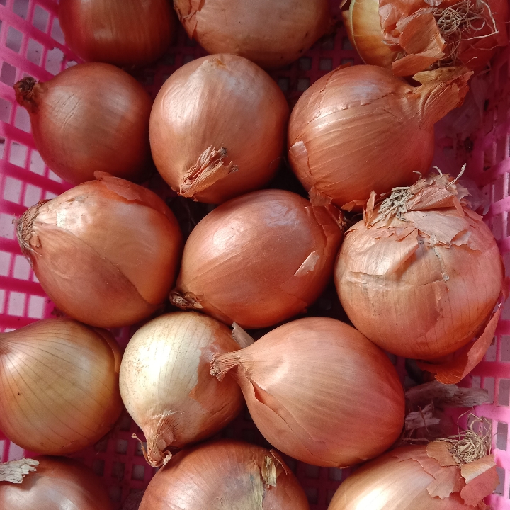 Bawang Bombay