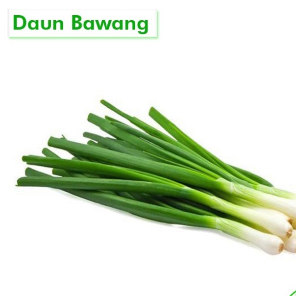 Bawang Daun