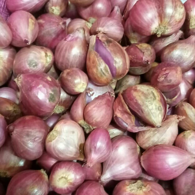 Bawang Habang