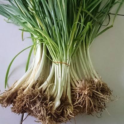 Bawang Kucay Per ikat