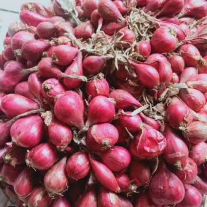 Bawang Merah