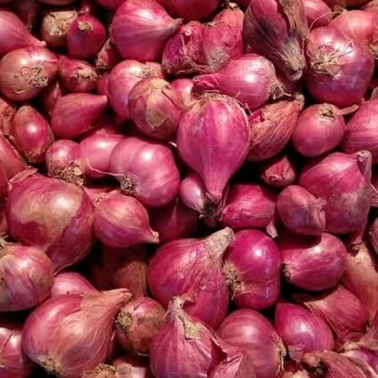Bawang Merah
