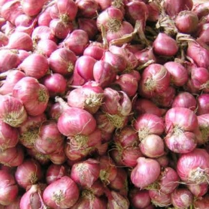 Bawang Merah