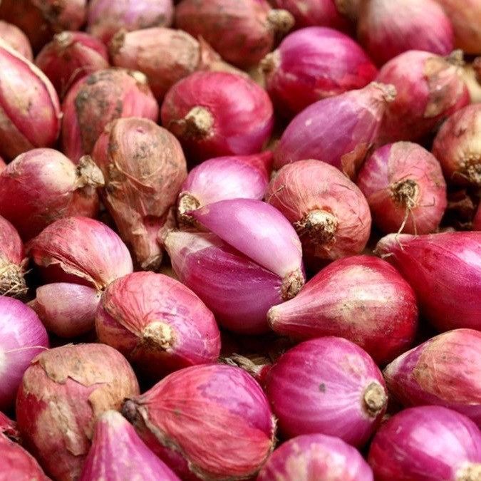 Bawang Merah