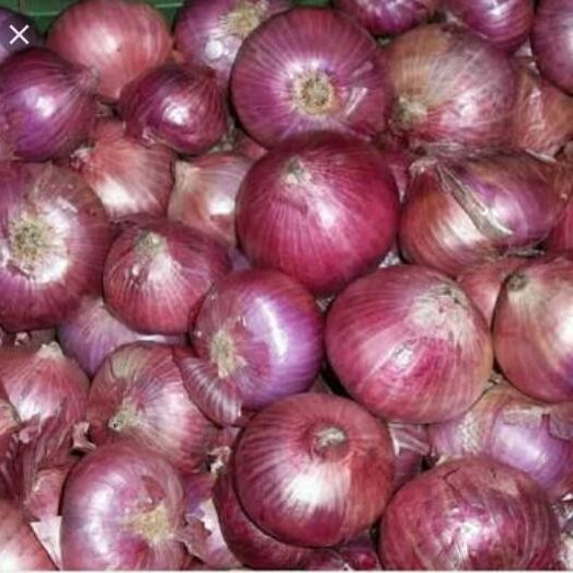 Bawang Merah