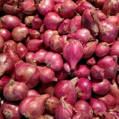 Bawang Merah