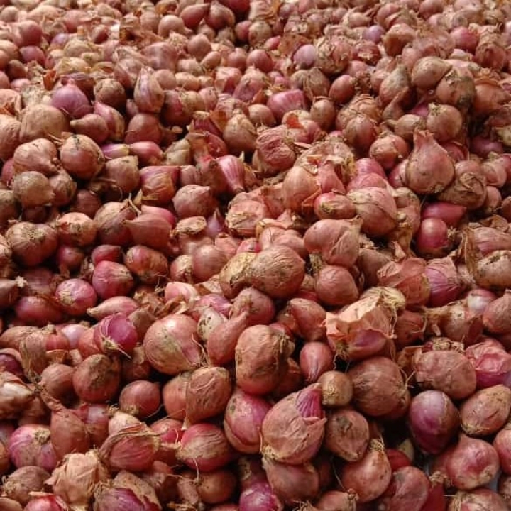 Bawang Merah