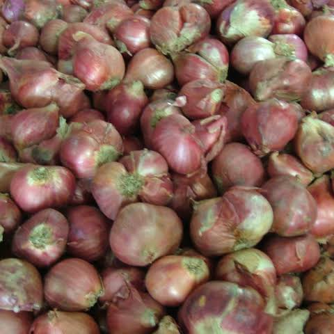 Bawang Merah 1Kg