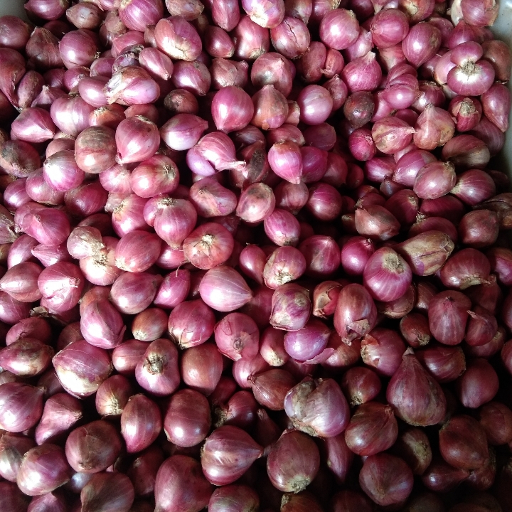 Bawang Merah 1kg