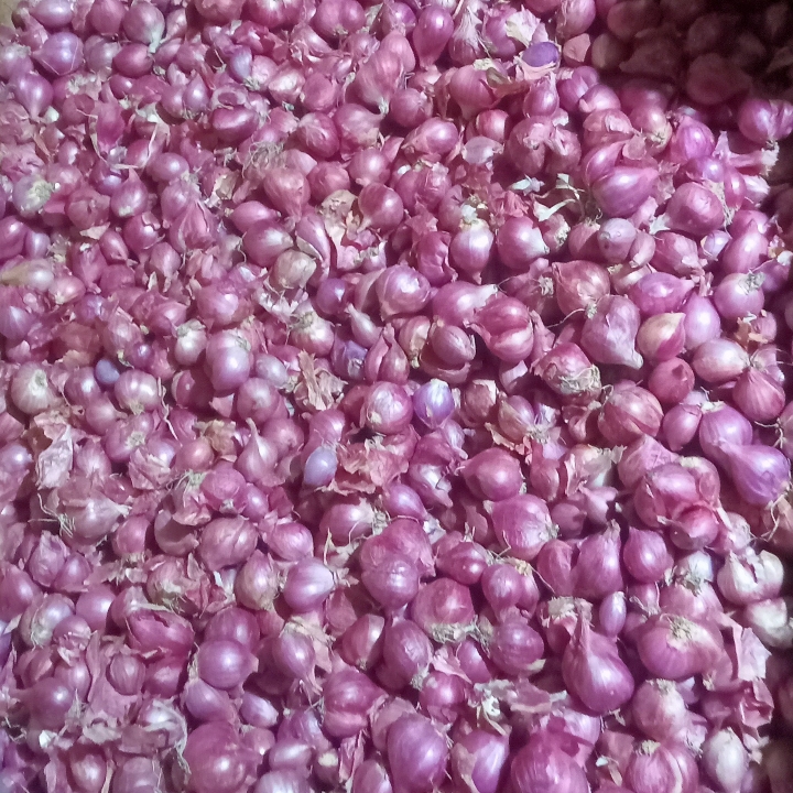 Bawang Merah Brebes super