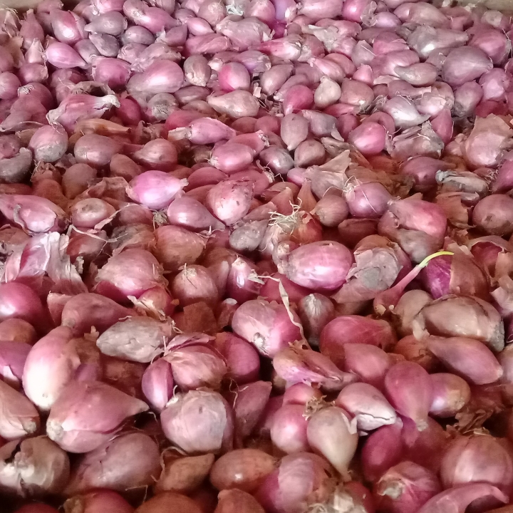 Bawang Merah Per Kilo Gram