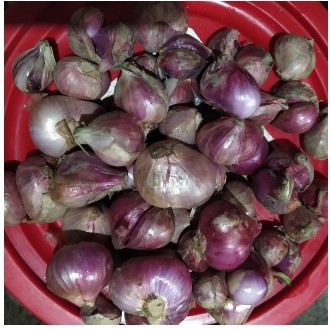 Bawang Merah 250 gr