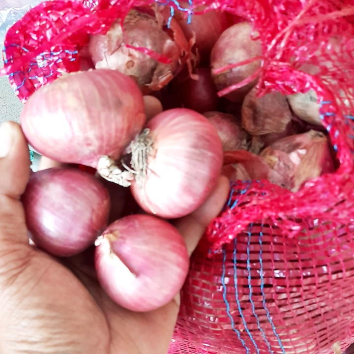 Bawang Peking