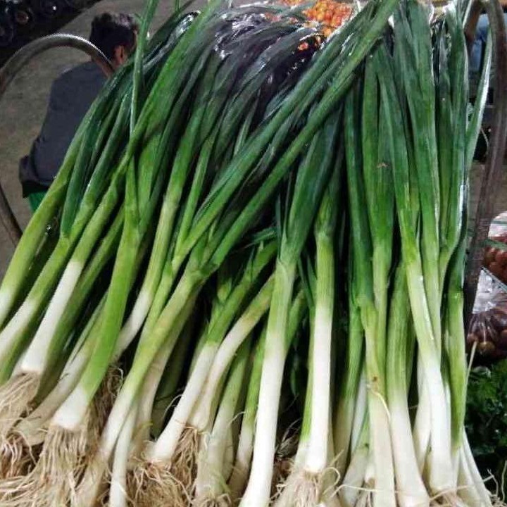 Daun Bawang