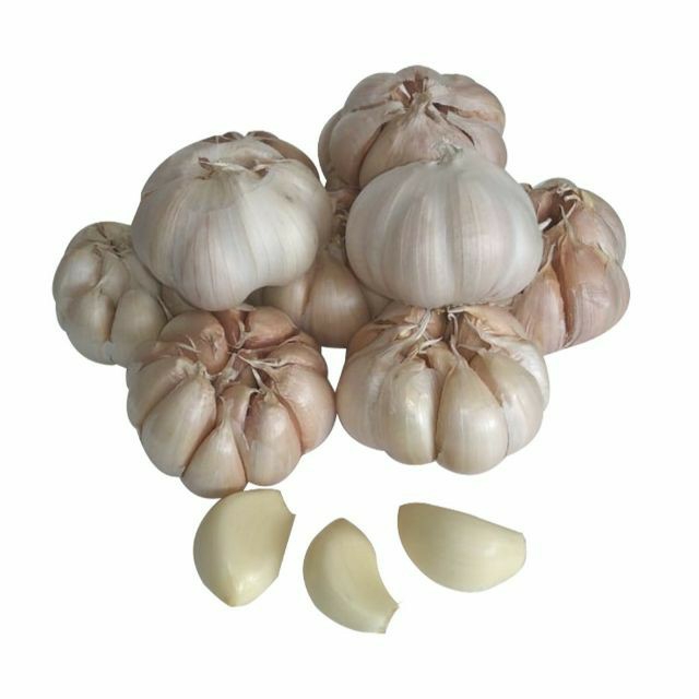 Bawang Putih 