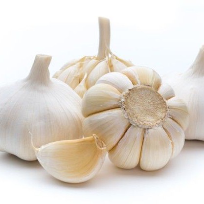 Bawang Putih